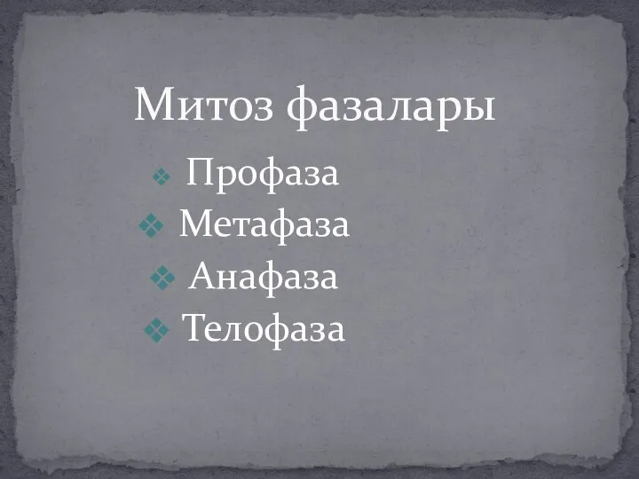 Митоз фазалары Профаза Метафаза Анафаза Телофаза