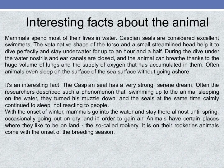 Interesting facts about the animal Mammals spend most of their