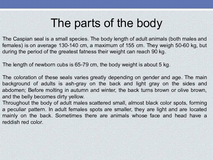 The parts of the body The Caspian seal is a