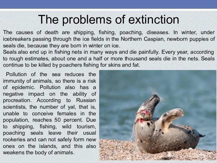 The problems of extinction The causes of death are shipping,