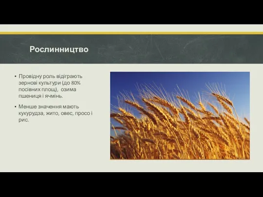 Рослинництво Провідну роль відіграють зернові культури (до 80% посівних площ), озима пшениця і