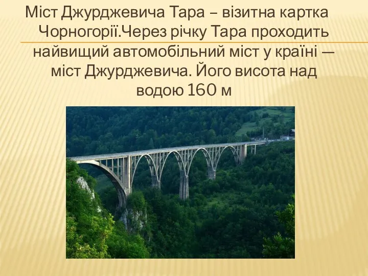 Міст Джурджевича Тара – візитна картка Чорногорії.Через річку Тара проходить
