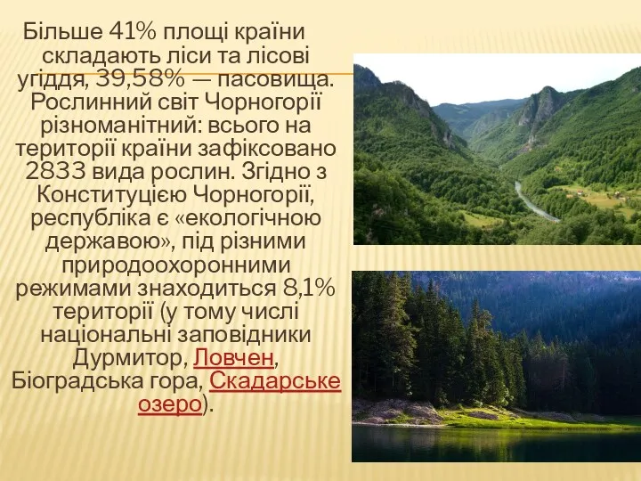 Більше 41% площі країни складають ліси та лісові угіддя, 39,58%