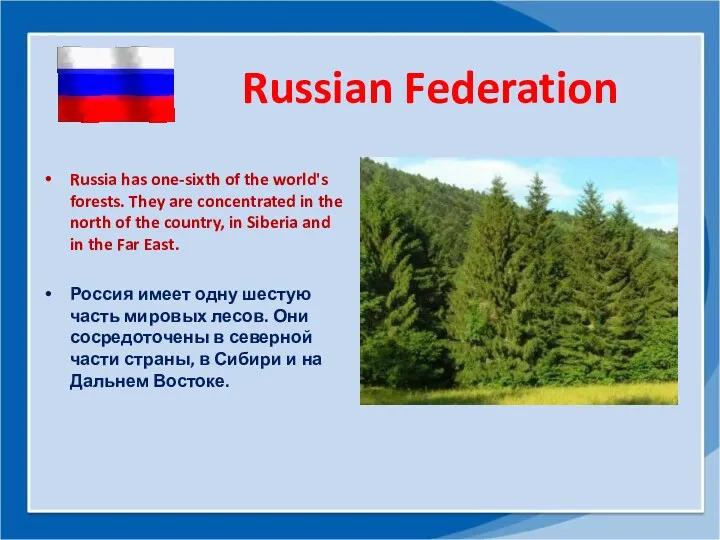 Russian Federation Russia has one-sixth of the world's forests. They