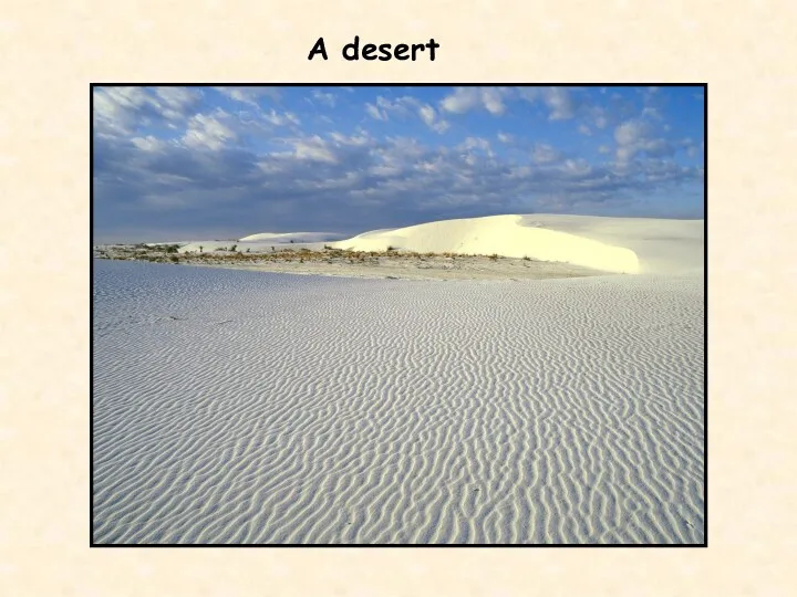 A desert