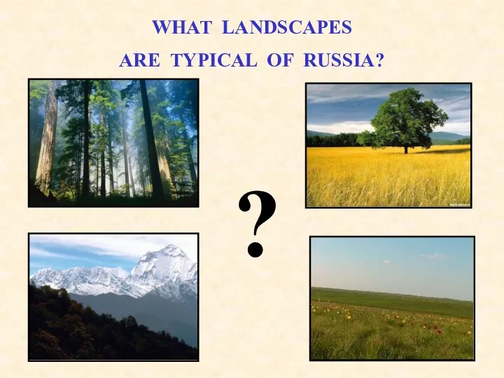 WHAT LANDSCAPES ARE TYPICAL OF RUSSIA? ?