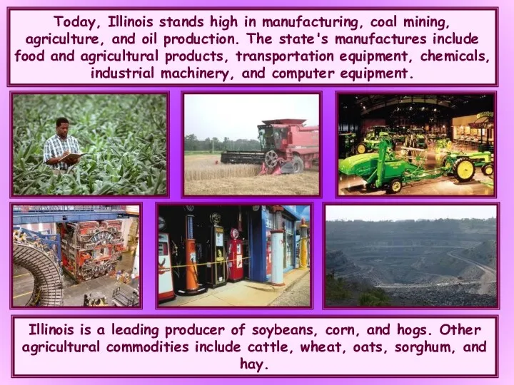 Illinois is a leading producer of soybeans, corn, and hogs.