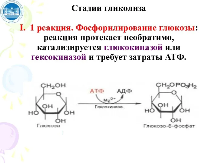 Стадии гликолиза I. 1 реакция. Фосфорилирование глюкозы: реакция протекает необратимо,