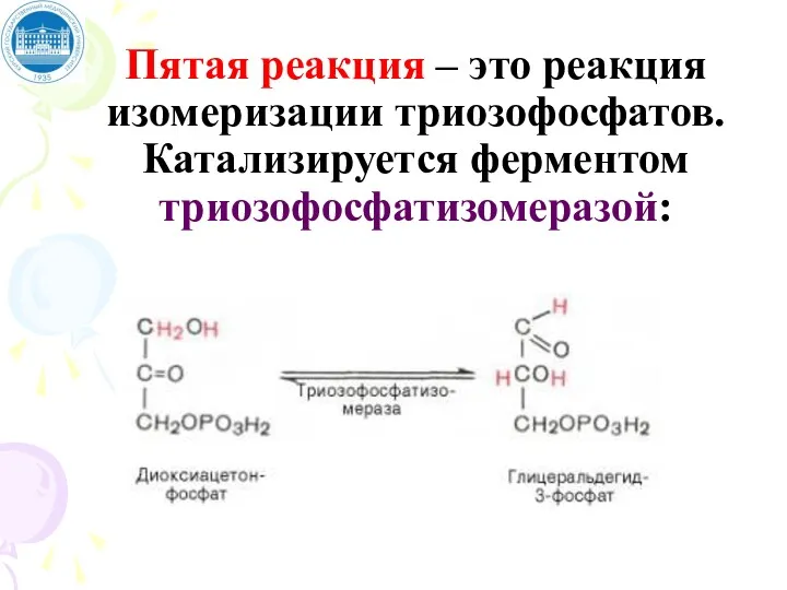 Пятая реакция – это реакция изомеризации триозофосфатов. Катализируется ферментом триозофосфатизомеразой: