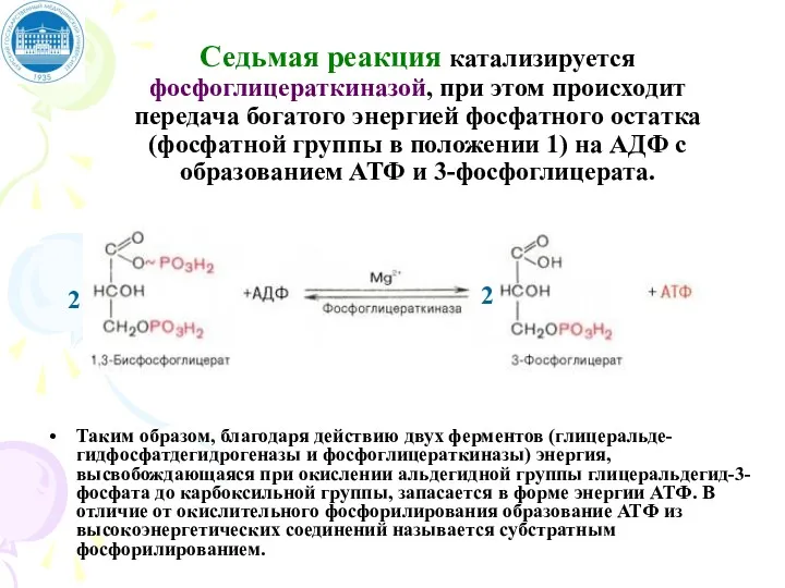 Седьмая реакция катализируется фосфоглицераткиназой, при этом происходит передача богатого энергией