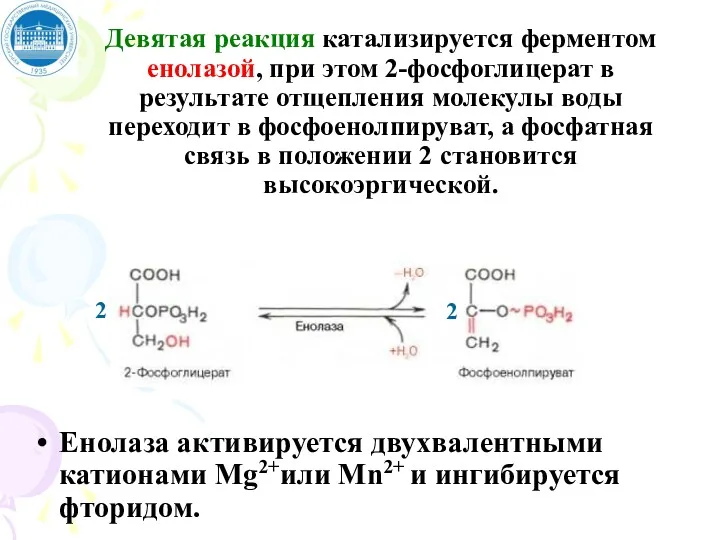 Девятая реакция катализируется ферментом енолазой, при этом 2-фосфоглицерат в результате