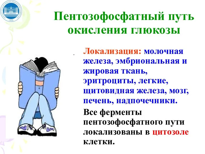 Пентозофосфатный путь окисления глюкозы Локализация: молочная железа, эмбриональная и жировая