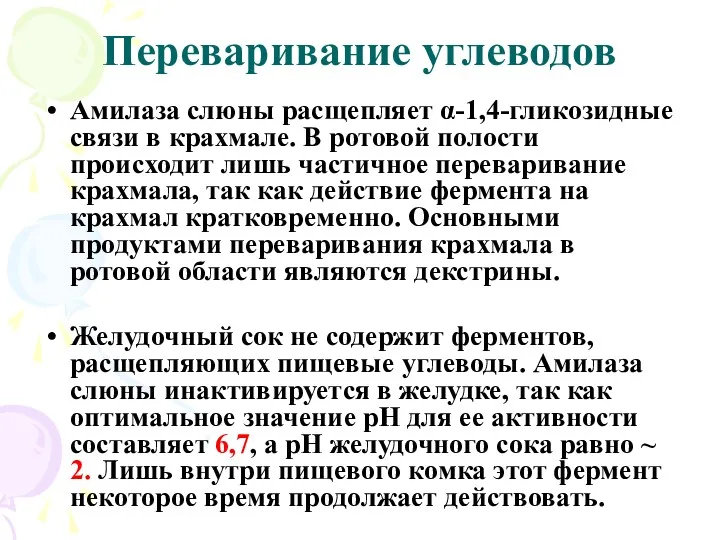 Переваривание углеводов Амилаза слюны расщепляет α-1,4-гликозидные связи в крахмале. В