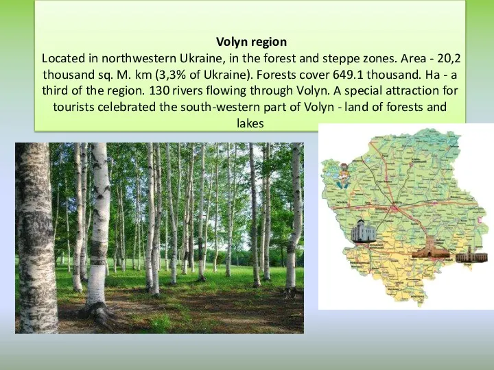 Volyn region Located in northwestern Ukraine, in the forest and