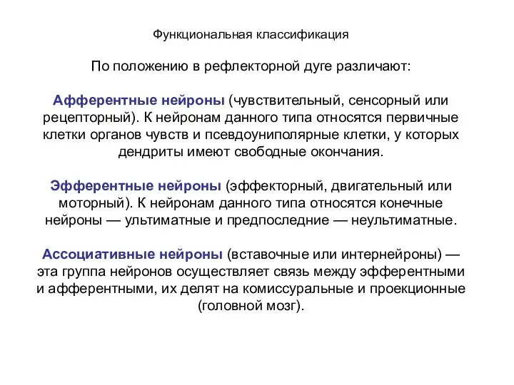 Функциональная классификация По положению в рефлекторной дуге различают: Афферентные нейроны