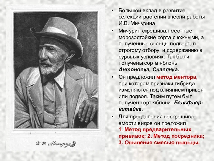 Большой вклад в развитие селекции растений внесли работы И.В. Мичурина.