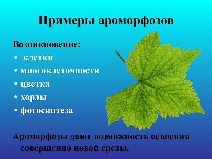 Примеры ароморфозов Возникновение: клетки многоклеточности цветка хорды фотосинтеза Ароморфозы дают возможность освоения совершенно новой среды.