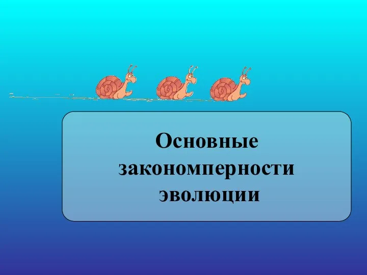 Основные закономперности эволюции