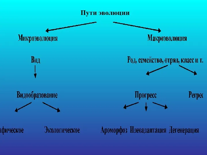 Пути эволюции