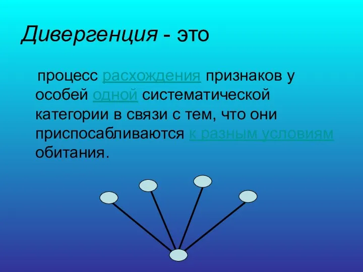 Дивергенция - это процесс расхождения признаков у особей одной систематической