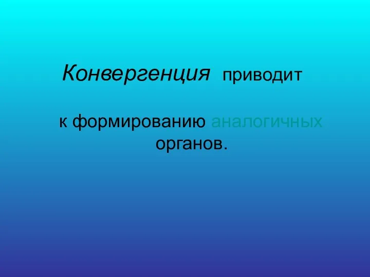 Конвергенция приводит к формированию аналогичных органов.