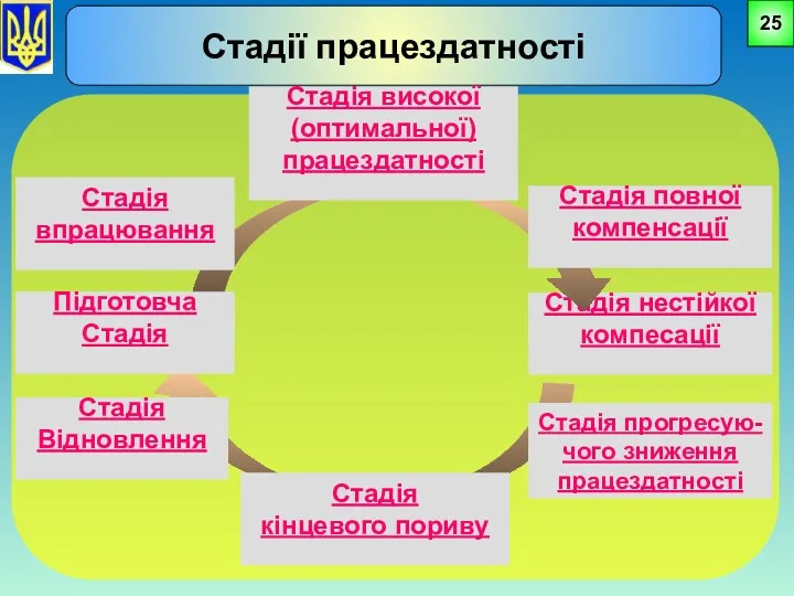 25 Стадії працездатності Стадія нестійкої компесації Стадія кінцевого пориву Стадія