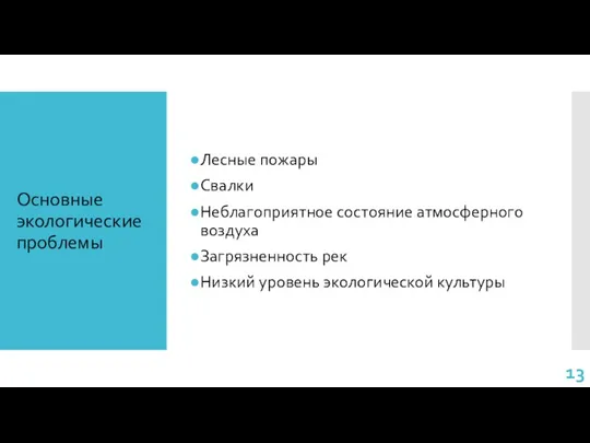 Лесные пожары Свалки Неблагоприятное состояние атмосферного воздуха Загрязненность рек Низкий уровень экологической культуры Основные экологические проблемы