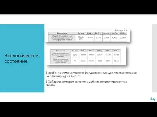 В 2018 г. на землях лесного фонда возникло 447 лесных