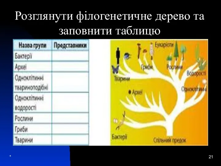 * Розглянути філогенетичне дерево та заповнити таблицю