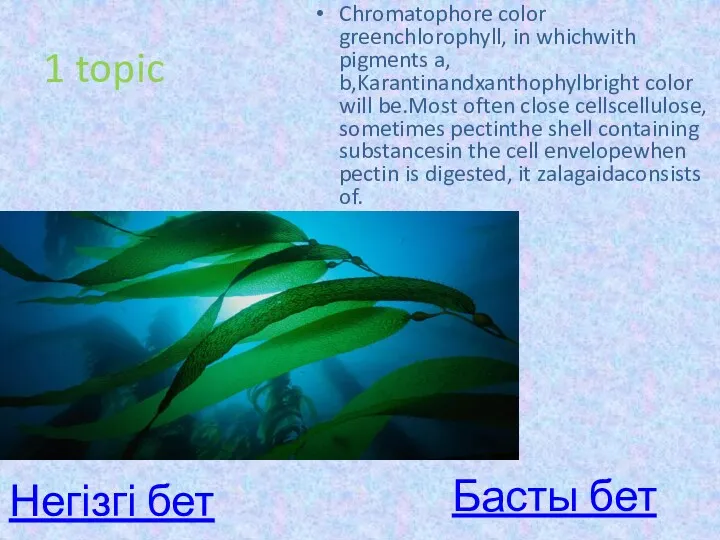 1 topic Chromatophore color greenchlorophyll, in whichwith pigments a, b,Karantinandxanthophylbright