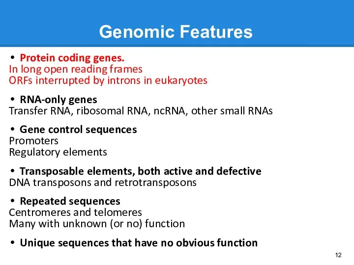 Genomic Features Protein coding genes. In long open reading frames