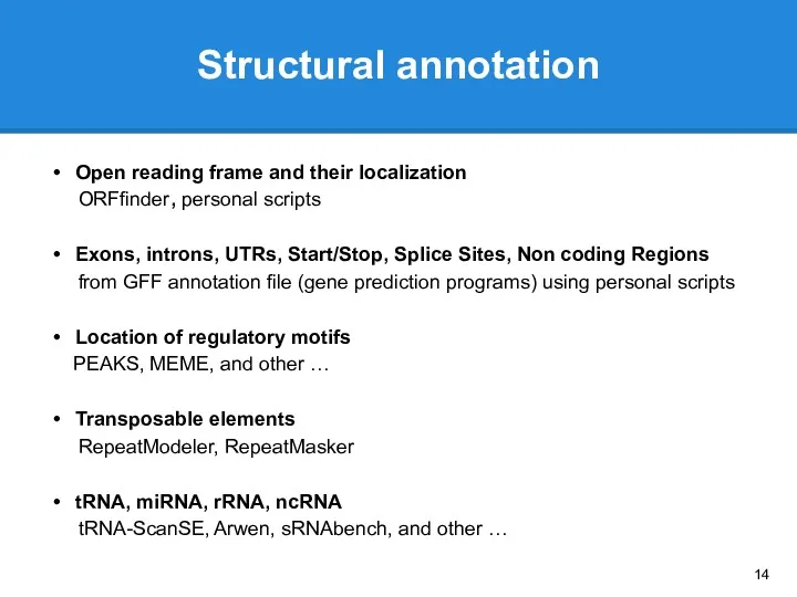 Structural annotation Open reading frame and their localization ORFfinder, personal