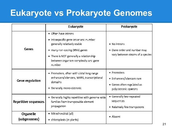 Eukaryote vs Prokaryote Genomes