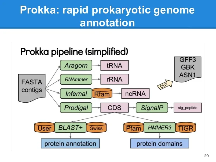 Prokka: rapid prokaryotic genome annotation