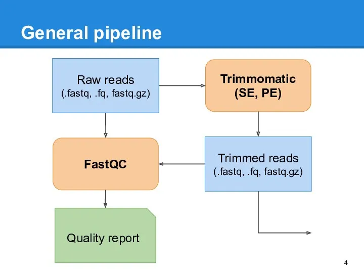 General pipeline Raw reads (.fastq, .fq, fastq.gz) FastQC Trimmomatic (SE,