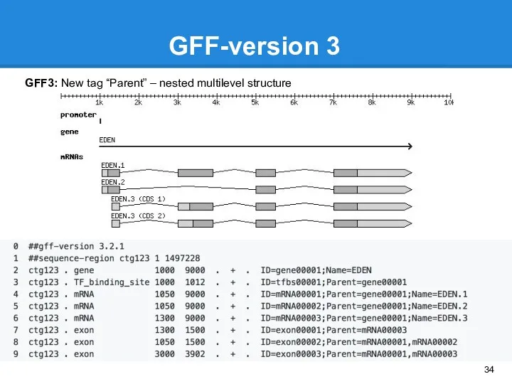GFF-version 3 GFF3: New tag “Parent” – nested multilevel structure