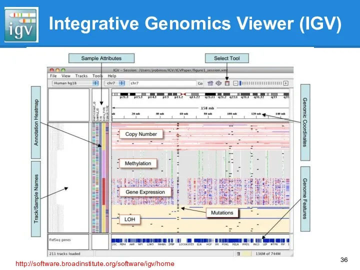 Integrative Genomics Viewer (IGV) http://software.broadinstitute.org/software/igv/home