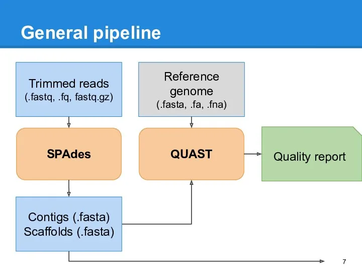 General pipeline QUAST Trimmed reads (.fastq, .fq, fastq.gz) Quality report