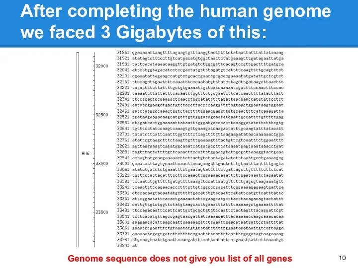 After completing the human genome we faced 3 Gigabytes of