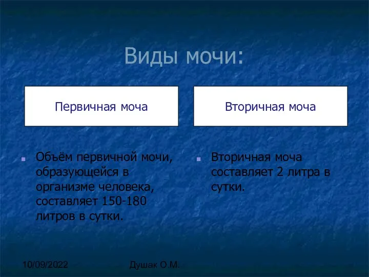 10/09/2022 Душак О.М. Виды мочи: Объём первичной мочи, образующейся в