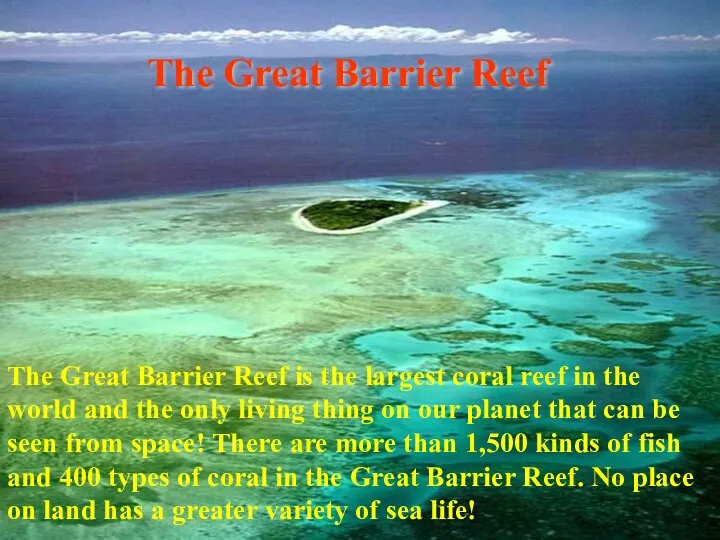 The Great Barrier Reef The Great Barrier Reef is the