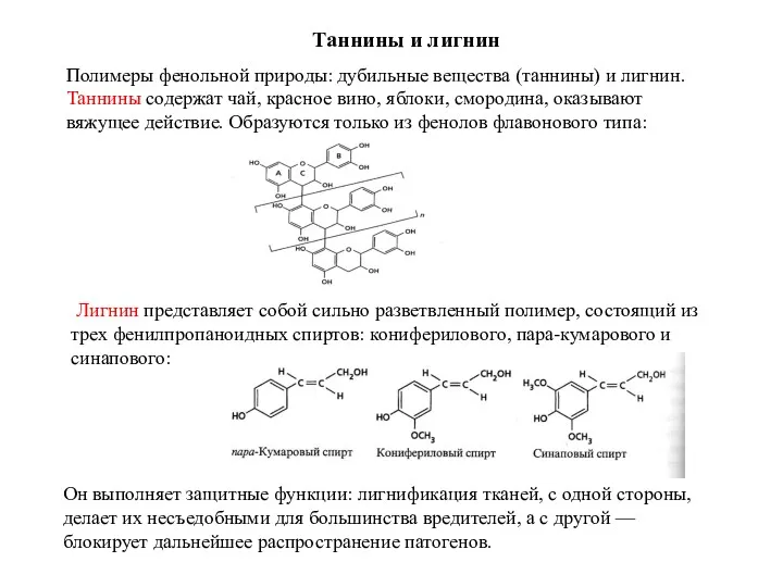 Таннины и лигнин Полимеры фенольной природы: дубильные вещества (таннины) и лигнин. Таннины содержат