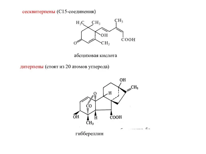 сесквитерпены (С15-соединения) абсцизовая кислота дитерпены (стоят из 20 атомов углерода) гиббереллин