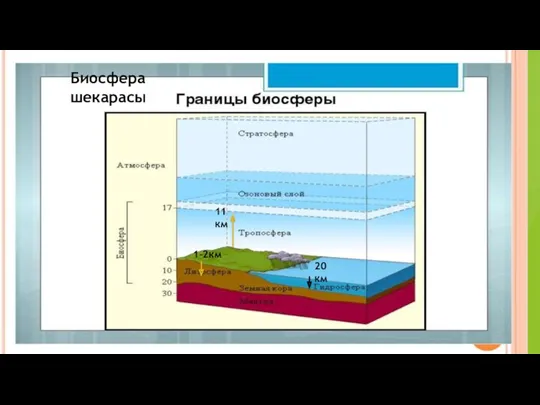 1-2км 11км 20км Биосфера шекарасы