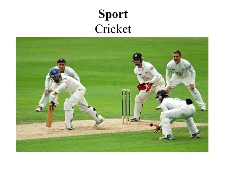 Sport Cricket