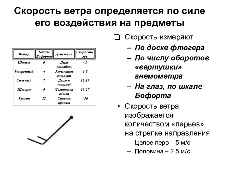 Скорость ветра определяется по силе его воздействия на предметы Скорость