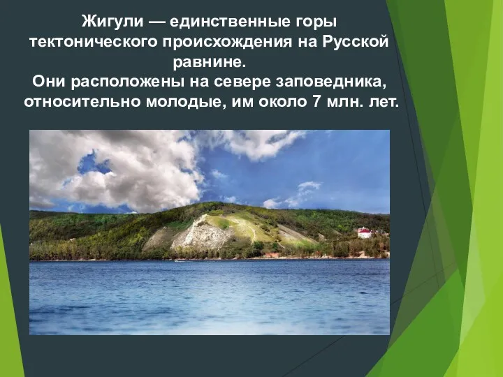 Жигули — единственные горы тектонического происхождения на Русской равнине. Они