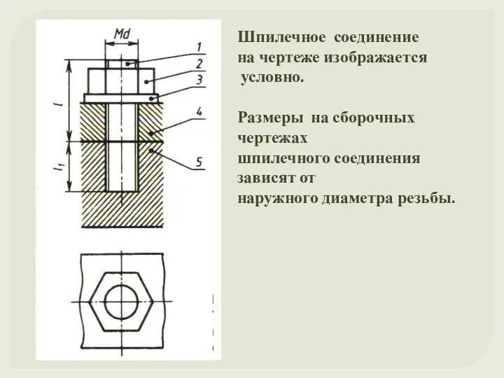 Шпилечное соединение на чертеже изображается условно. Размеры на сборочных чертежах