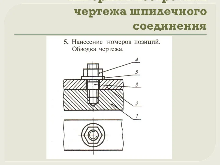 Алгоритм построения чертежа шпилечного соединения