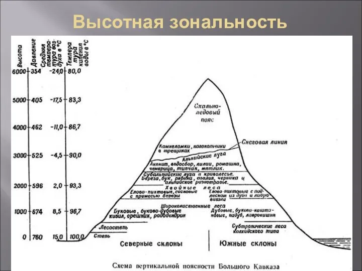 Высотная зональность